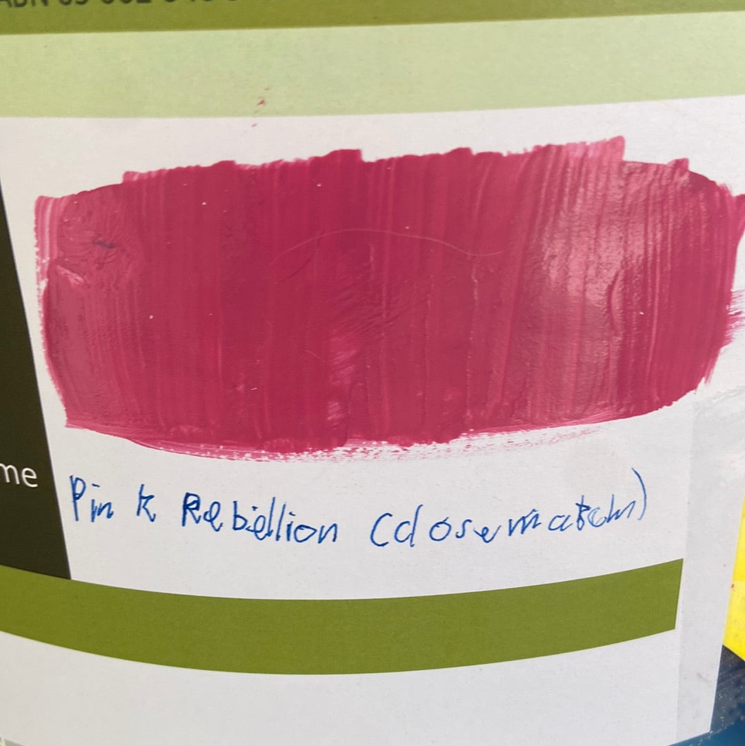 Exterior Full Gloss (Deep base) PINKS 9L - Dulux colour: Pink Rebellion (close match)
