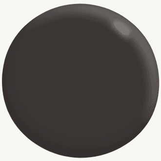 Exterior Matt BROWNS 2.2L - Dulux Colour: Adios
