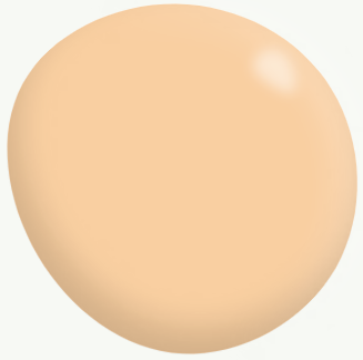 Interior Low Sheen ORANGES 5.3L - Dulux colour: Apricot Fool (close match)