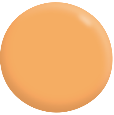Exterior Low Sheen ORANGES 1L - Dulux colour: Burning Flame