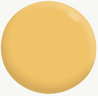 Interior/Exterior Gloss Enamel YELLOWS 3.1L - Dulux colour: Butterblond (good match)