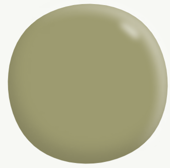 Interior Low Sheen Enamel GREENS 1L - Resene colour: Avocado