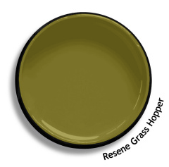 Interior/Exterior Low Sheen GREENS 2.5L - Resene colour: Grass Hopper