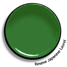 Interior Low Sheen Enamel GREENS 3.5L - Resene colour: Japanese Laurel