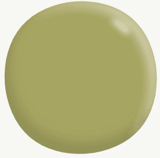 Interior Low Sheen GREENS 4L - Dulux colour: Rickrack (close match)