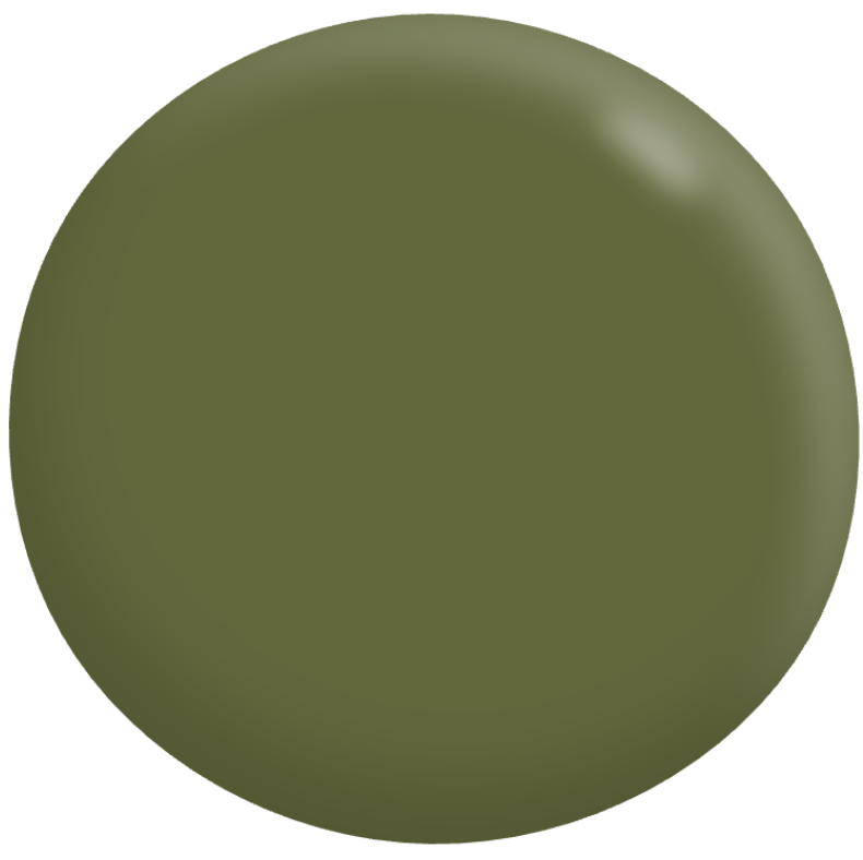 Exterior Low Sheen GREENS 1L - Dulux colour: Scott's Pine (good match)