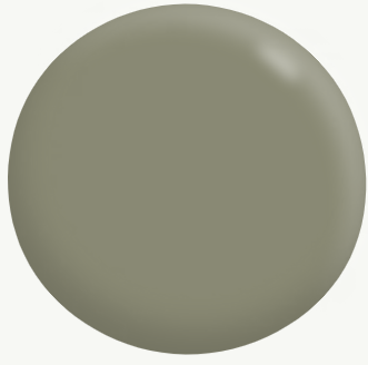 Interior/Exterior Full Gloss Enamel GREENS 3.7L - Dulux colour: Paris Creek
