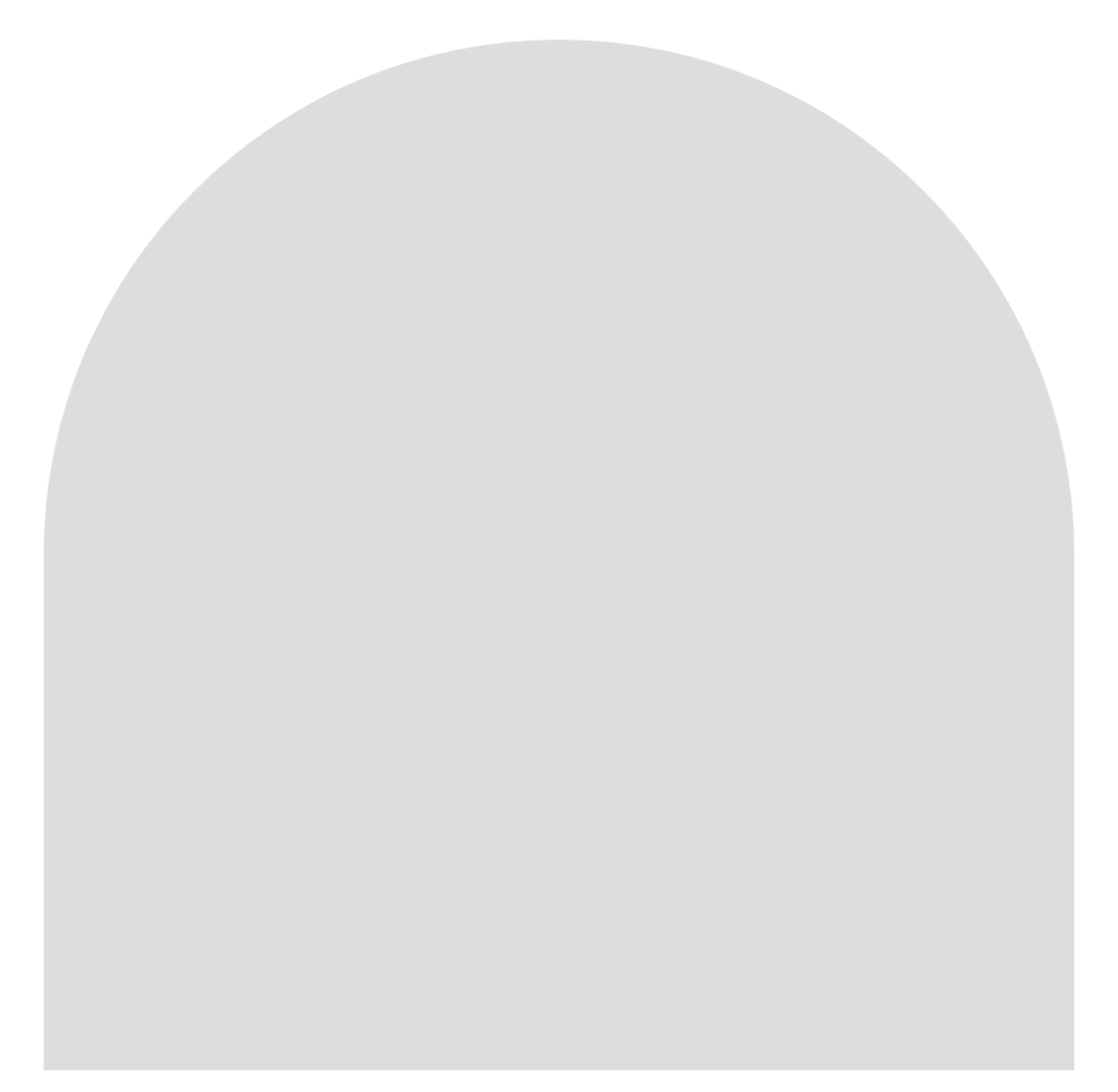 Interior Low Sheen WHITES 10L - Taubmans colour: White Shaver