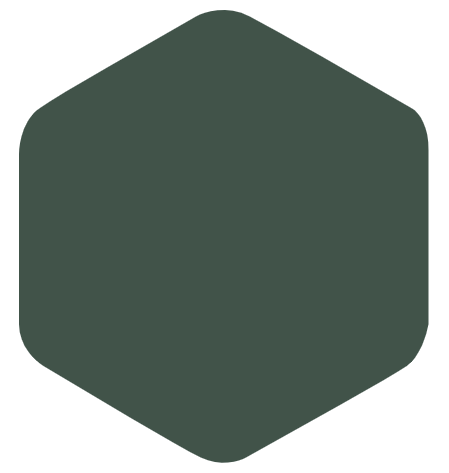 Exterior Low Sheen GREENS 3.6L - Taubmans colour: Magic Forest