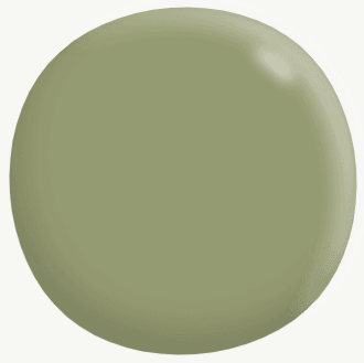 Interior Low Sheen (Deep Base) GREENS 5.8L - Dulux colour: Cucumber Crush (close match)