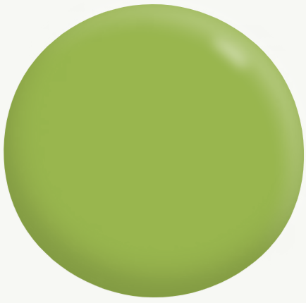 Interior/Exterior Semi-Gloss Enamel GREENS 1L - Dulux colour: Celery Green (good match)