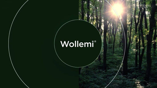 Exterior Matt GREENS 10L - Colour: Wollemi Colorbond