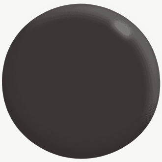 Exterior Matte BROWNS 2.2L - Dulux Colour: Adios