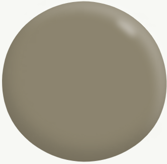 Exterior Low Sheen (Deep base) GREENS 15L - Dulux colour: Antique