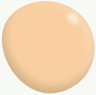 Interior Matte ORANGES 4L - Dulux colour: Apricot Fool (close match)