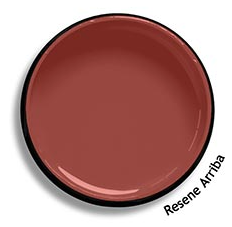 Interior/Exterior Low Sheen REDS 580mL - Resene colour: similar to "Arriba"