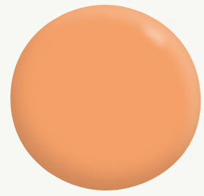 Interior/Exterior Semi-Gloss Enamel ORANGES 500mL - Dulux colour: Baby Melon