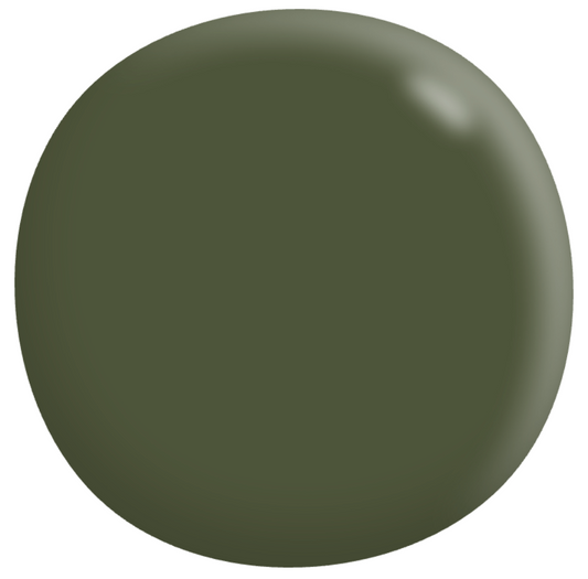 Interior/Exterior Semi-Gloss Enamel GREENS 4L - Dulux colour: similar to "Broccoli Green"
