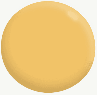 Exterior Low Sheen YELLOWS 5.8L - Dulux colour: Butterblond (close match)