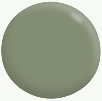 Interior/Exterior Semi-Gloss (Deep Base) GREENS 4L - Dulux colours: Canaletto (close match)