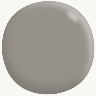 Interior/Exterior Semi-Gloss Enamel NEUTRALS 4L - Dulux colour: Champignon (close match)