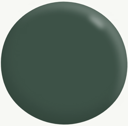 Exterior Full Gloss GREENS 4L - Dulux colour: Colorbond Cottage Green