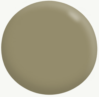 Exterior Low Sheen (Deep base) GREENS 15L - Dulux colour: Deep Jungle