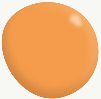 Interior Low Sheen ORANGES 2.1L - Dulux colour: Exotic Flower (close match)