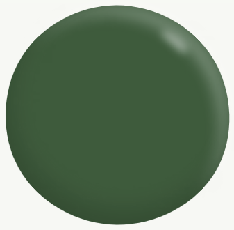 Exterior Full Gloss GREENS 4L - Dulux colour: Norfolk Green (close match)