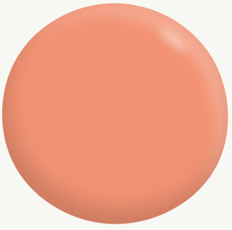 Interior Low Sheen ORANGES (Deep base) 4L - Dulux colour: Hibiscus Delight (close match)