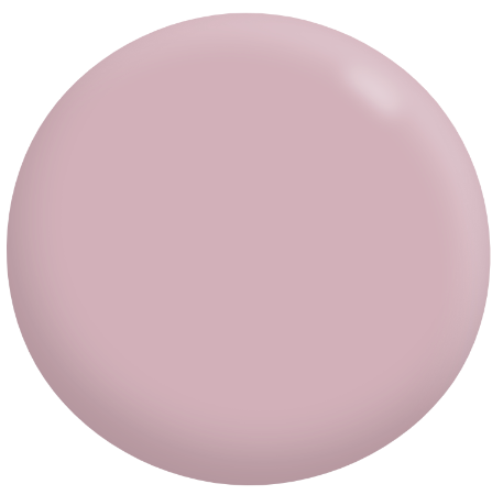 Interior/Exterior Semi-Gloss Enamel PINKS 900mL - Dulux colour: Iced Watermelon (good match)