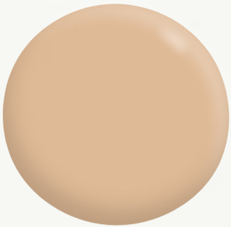 Exterior Low Sheen ORANGES 3.1L - Dulux colour: Lama (close match)