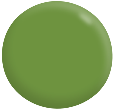 Interior/Exterior Specialty Paint Oil-Based Flat Finish Non-Slip Paving Concrete Paint GREENS 10L - Dulux colour: Mary's Garden (good match)