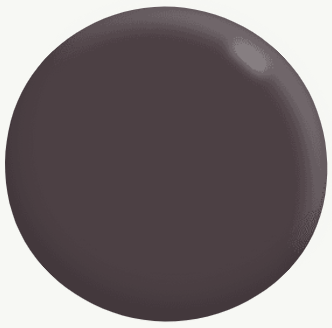 Interior Matte DARKS 4L - Dulux colour: Oboe D'Amore