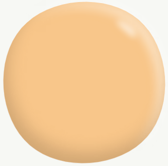 Interior/Exterior Semi-Gloss Enamel ORANGES 1L - Dulux colour: Peach Melba (close match)
