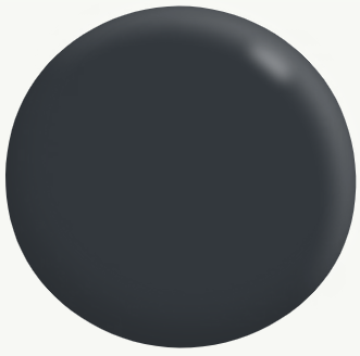 Exterior Low Sheen DARKS 1L - Dulux: Piha (Close Match)