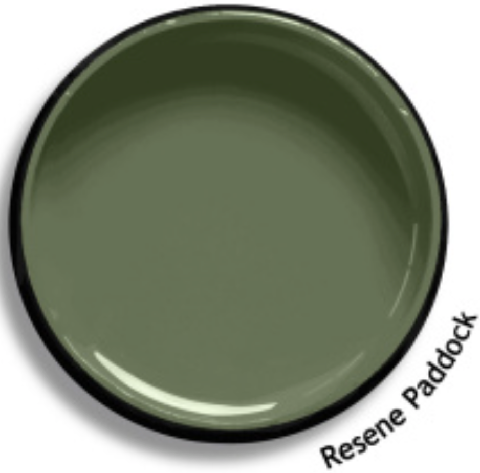 Interior/Exterior Semi-Gloss Enamel GREENS 610mL - Resene colour: Paddock