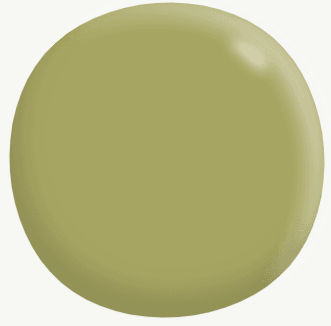 Interior Low Sheen GREENS 3.7L - Dulux colour: Rickrack (close match)