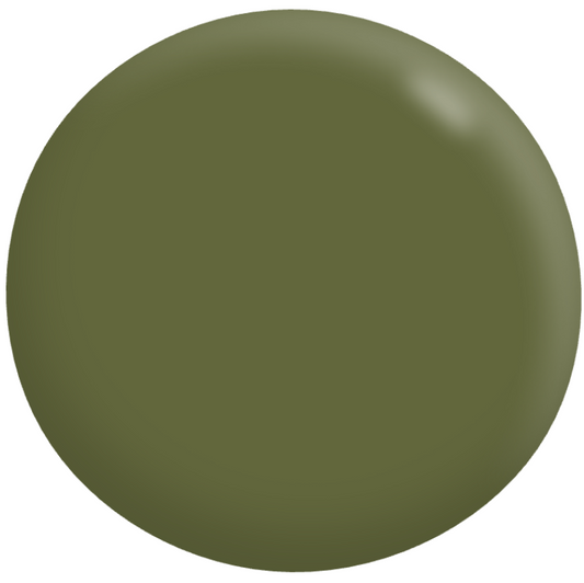 Exterior Low Sheen GREENS 1L - Dulux colour: Scott's Pine (good match)