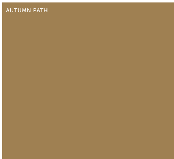 Interior/Exterior Gloss Specialty Paint Driveway Concrete Paint 9.1L - Dulux colour: Autumn Path