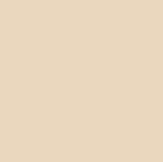 Interior Low Sheen NEUTRALS 9L - Dulux colour: Amish Linen