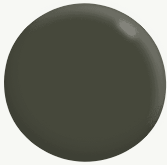 Interior/Exterior Semi-Gloss Enamel GREENS 1L - Dulux colour: Showdown