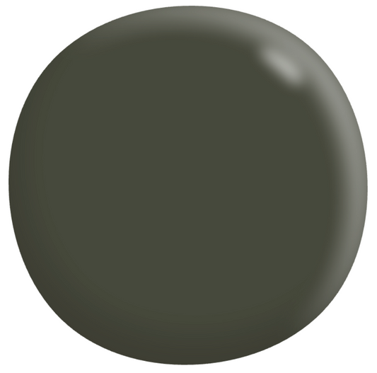 Interior/Exterior Semi-Gloss Enamel GREENS 1L - Dulux colour: Showdown