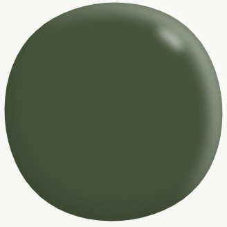 Interior Low Sheen GREENS 4L - Dulux colour: Similar to "Spinach Green"