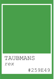 Interior Low Sheen GREENS 0.85L - Taubmans colour: REX