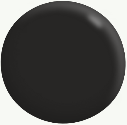 Specialty Paint Interior Matte Theatre Black 1L - Dulux colour: Theatre Black