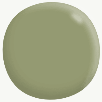 Interior Low Sheen (Deep Base) GREENS 5.3L - Dulux colour: Cucumber Crush (close match)