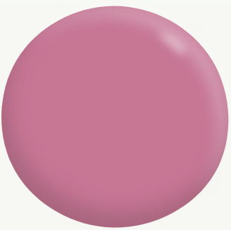 Interior Low Sheen (Deep Base) PINKS 4.4L - Dulux colour: Watermelon Pink (close match)