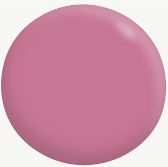 Interior Low Sheen (Deep Base) PINKS 5.6L - Dulux colour: Watermelon Pink (close match)