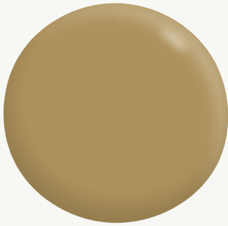 Exterior Full Gloss BROWNS 2.9L - Dulux colour: Wheatacre (close match)